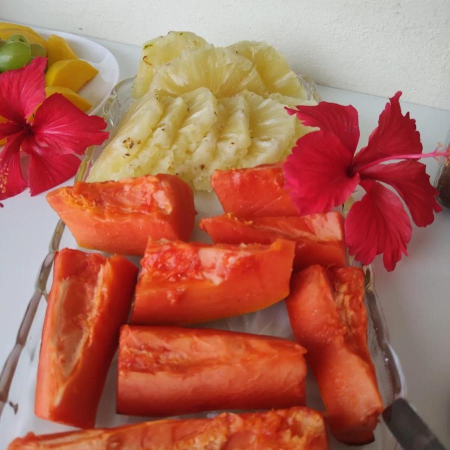 Pousada Brilho Do Sol Sao Miguel do Gostoso Ngoại thất bức ảnh